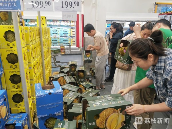 易速宝 夏日水果上新 榴莲价格走低引热销