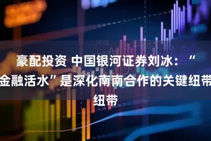 豪配投资 中国银河证券刘冰：“金融活水”是深化南南合作的关键纽带